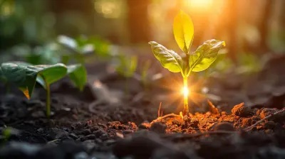 The Role of Incubators and Accelerators in Tech Startup Growth