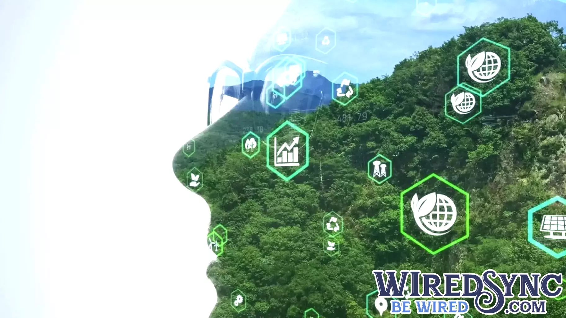Allianz Partners with Brightest to Enhance Carbon Management Technology