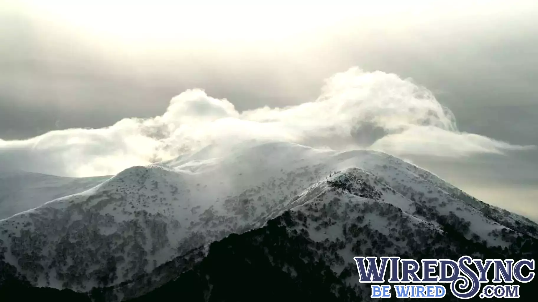 Cloud Native Infrastructure Becomes Essential for AI and ML Practitioners