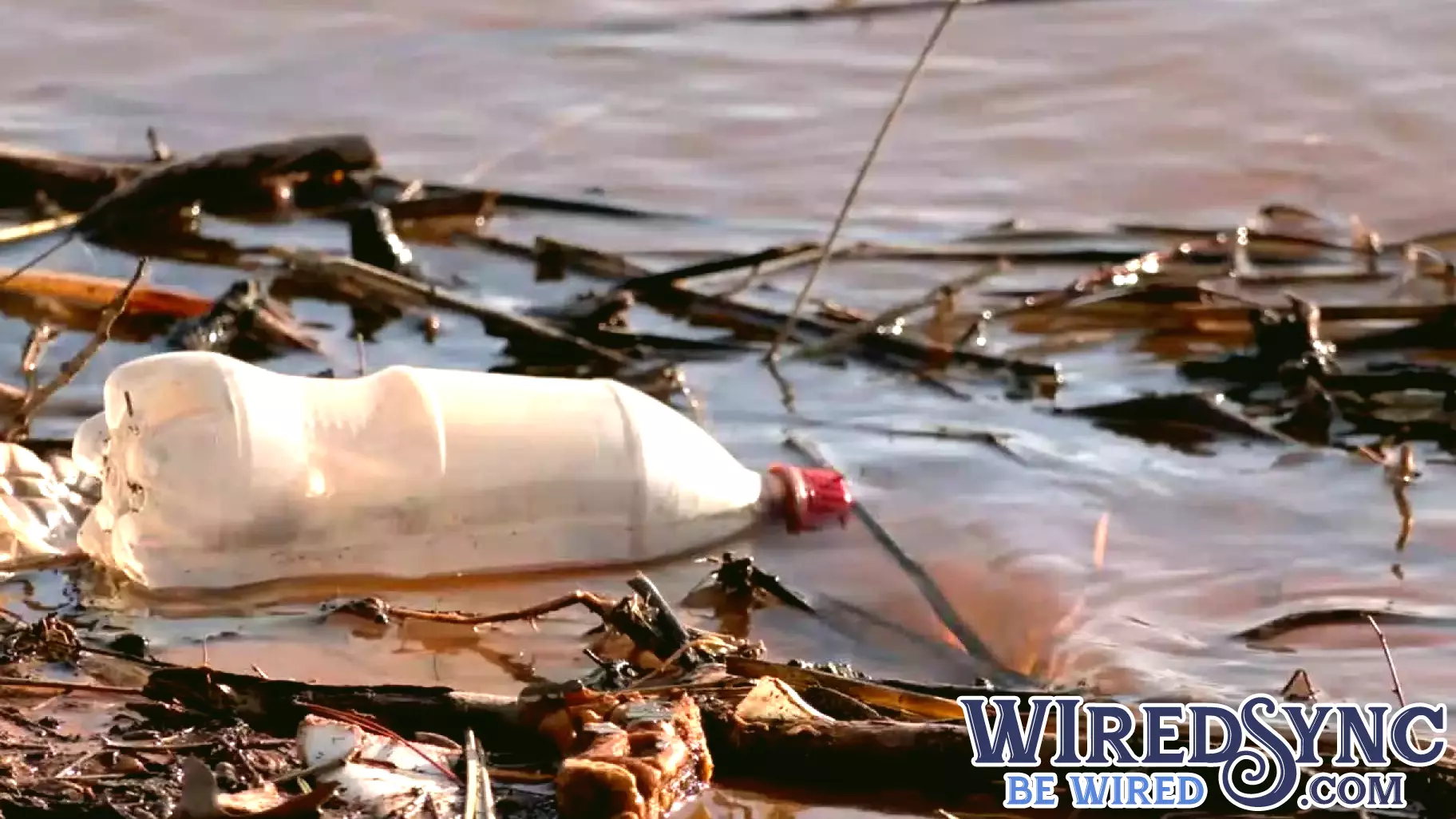 Edmond Commission Advocates for Trash Interception System at Arcadia Lake