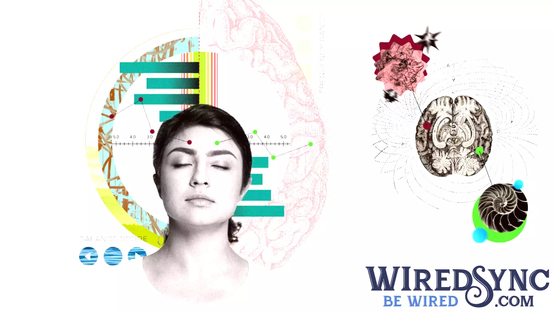 Exploring the Potential of BrainEcho Technology for Insomnia Treatment