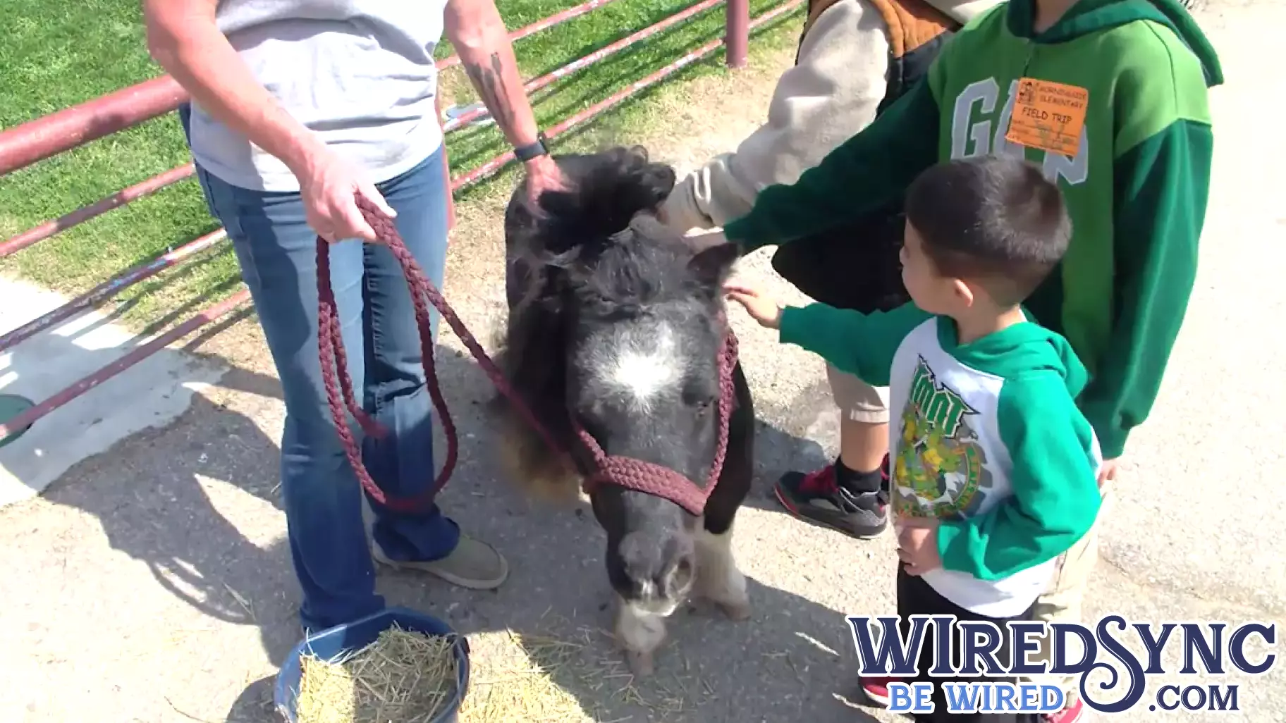 Farm Day returns to Kern County, showcases new AI technology