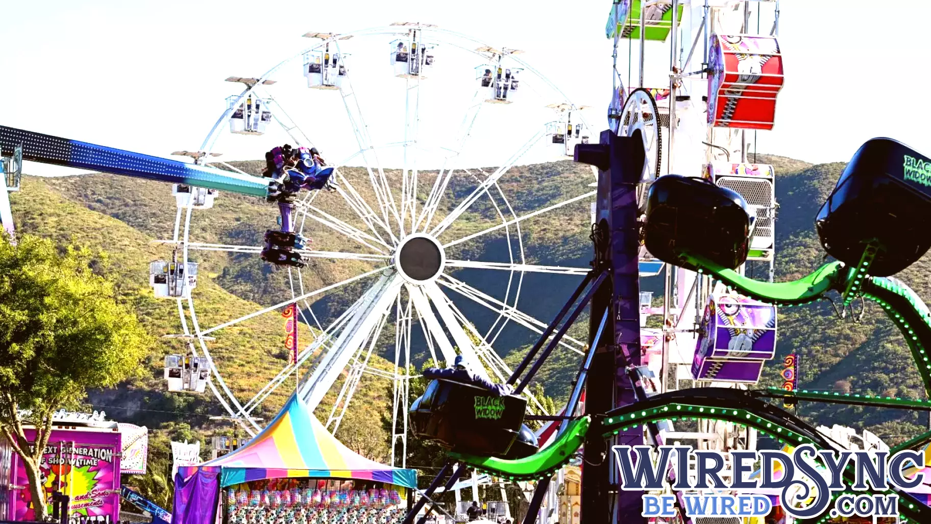LPD deploys automated surveillance technology to monitor Flower Festival crowds