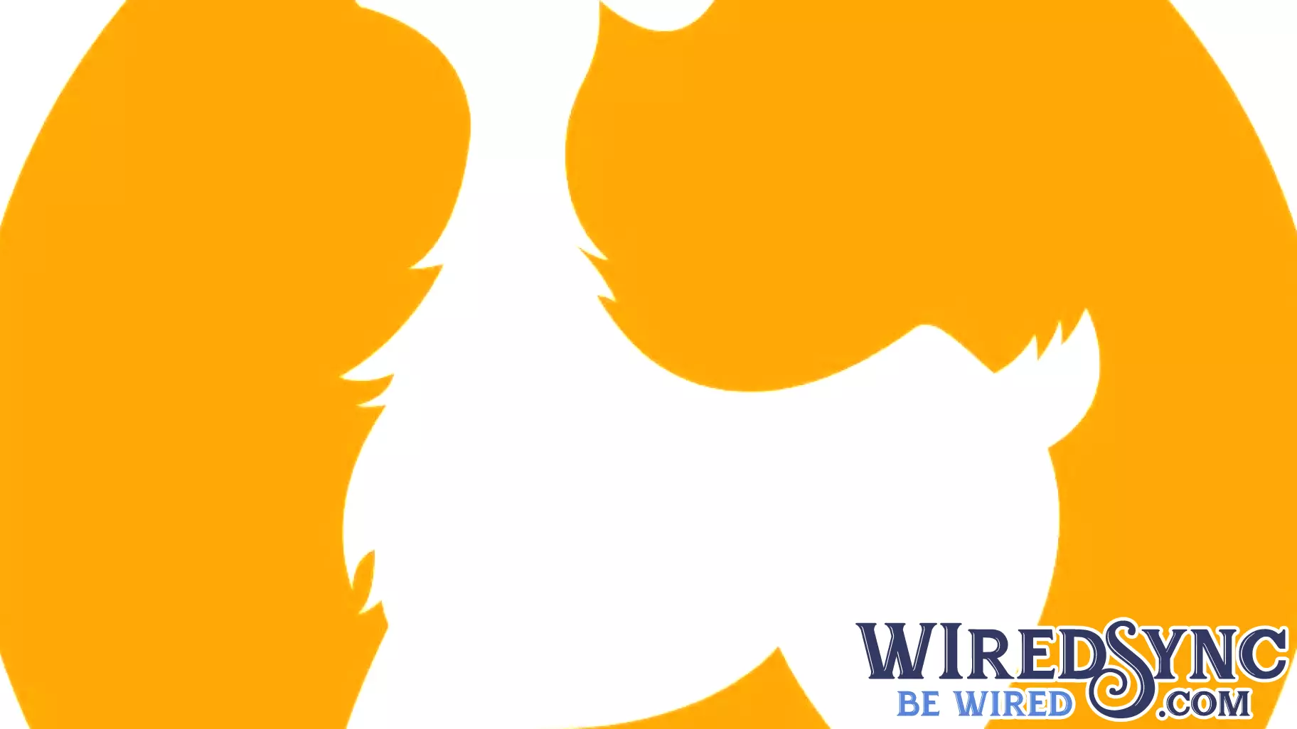 Meiwu Technology Implements Significant Reverse Share Split