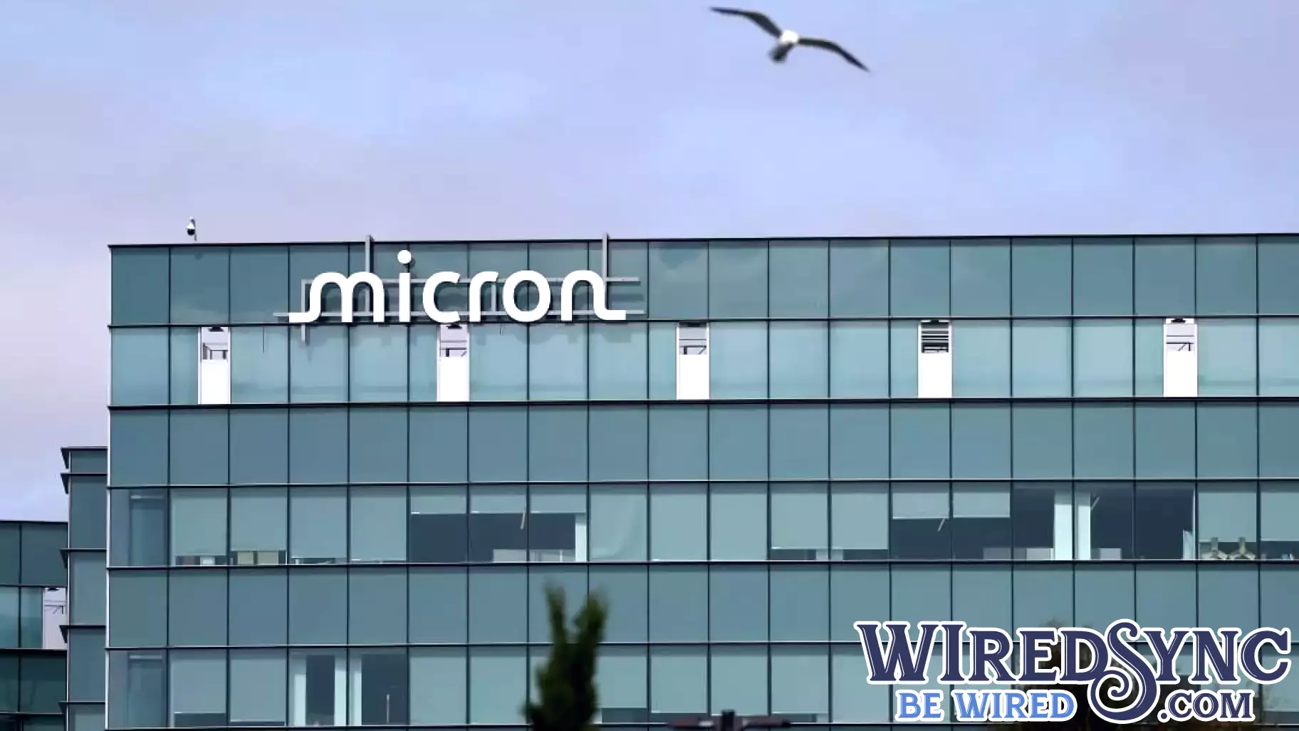 Micron Technology Is Helping the Market’s Hottest Value ETF Crush the Market