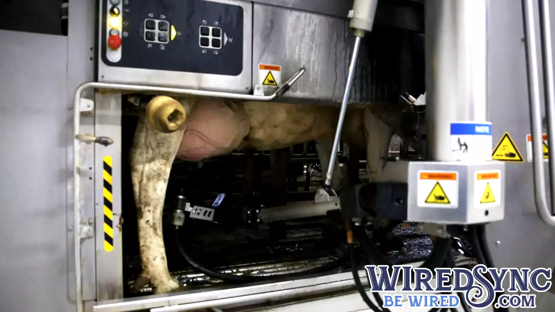 New Grant Program Aims to Boost Technology in South Carolina Agriculture