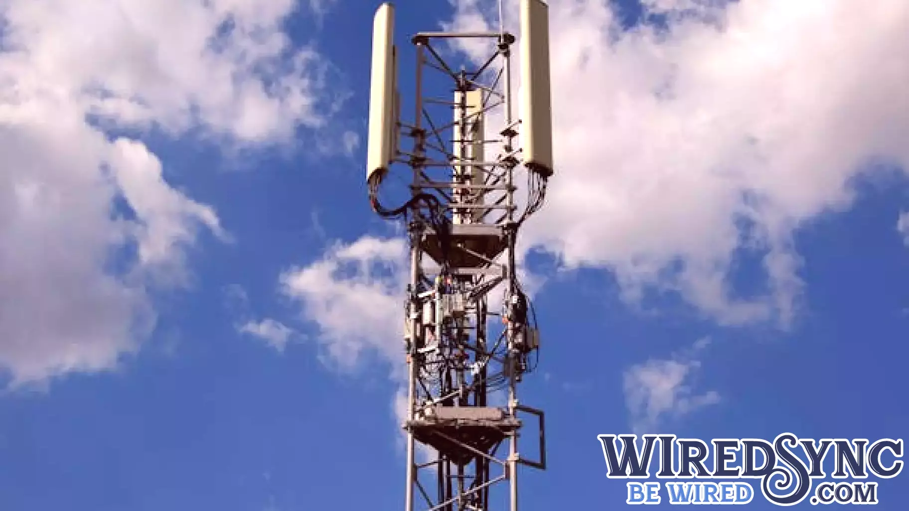 PicoCELA Inc. (PCLA) Unveils Game-Changing Wireless Mesh Technology