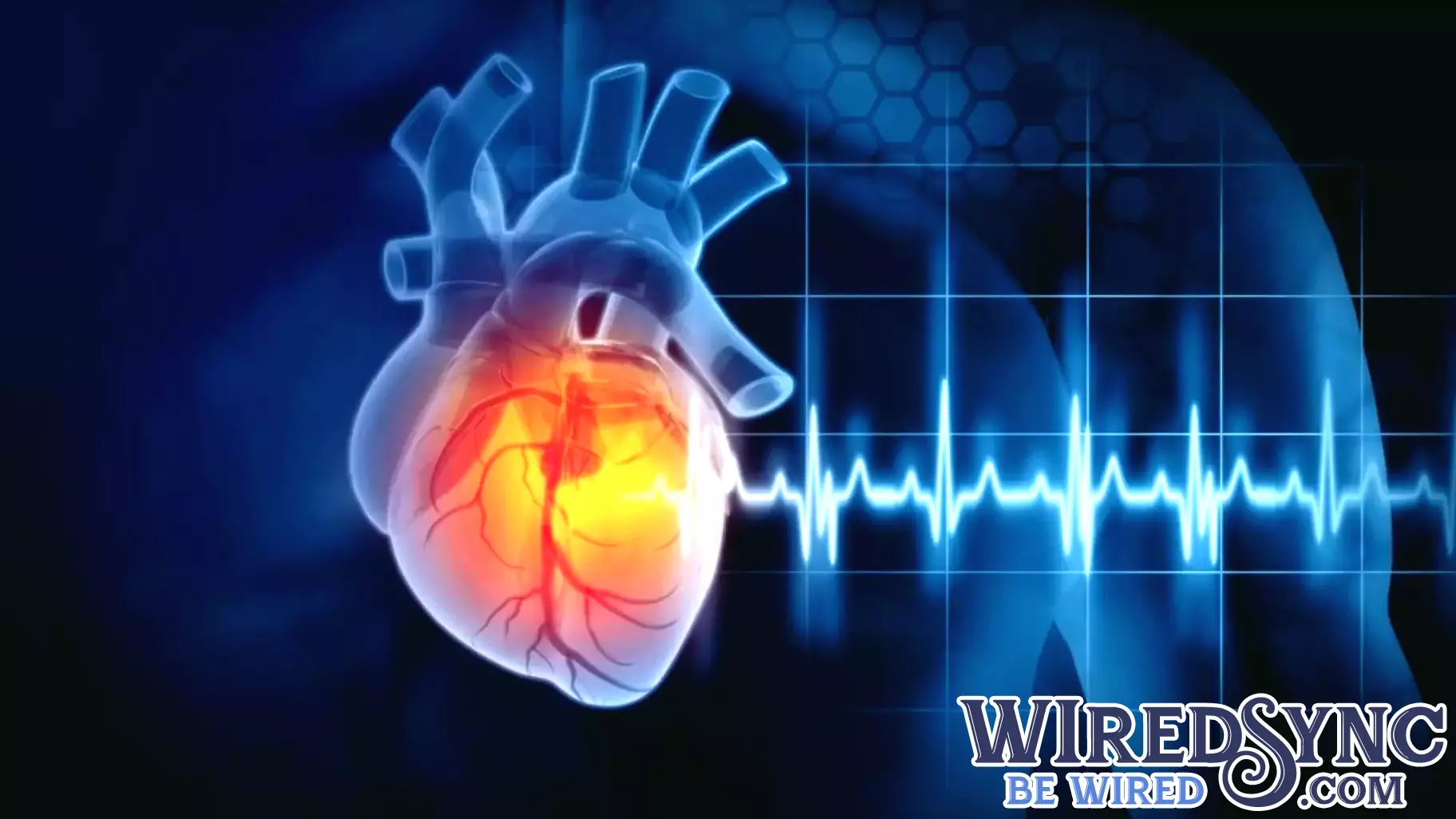 Reps. Davis, Tenney push for genetically targeted heart disease technologies