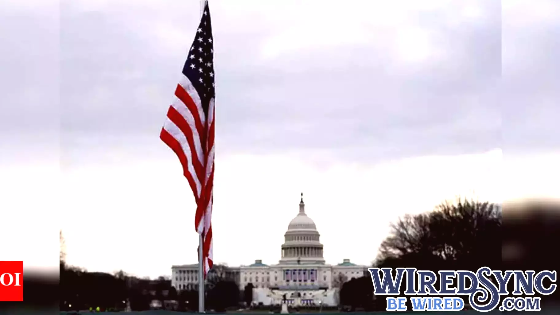 Shift in H-1B Visa Usage: Beyond Tech Giants