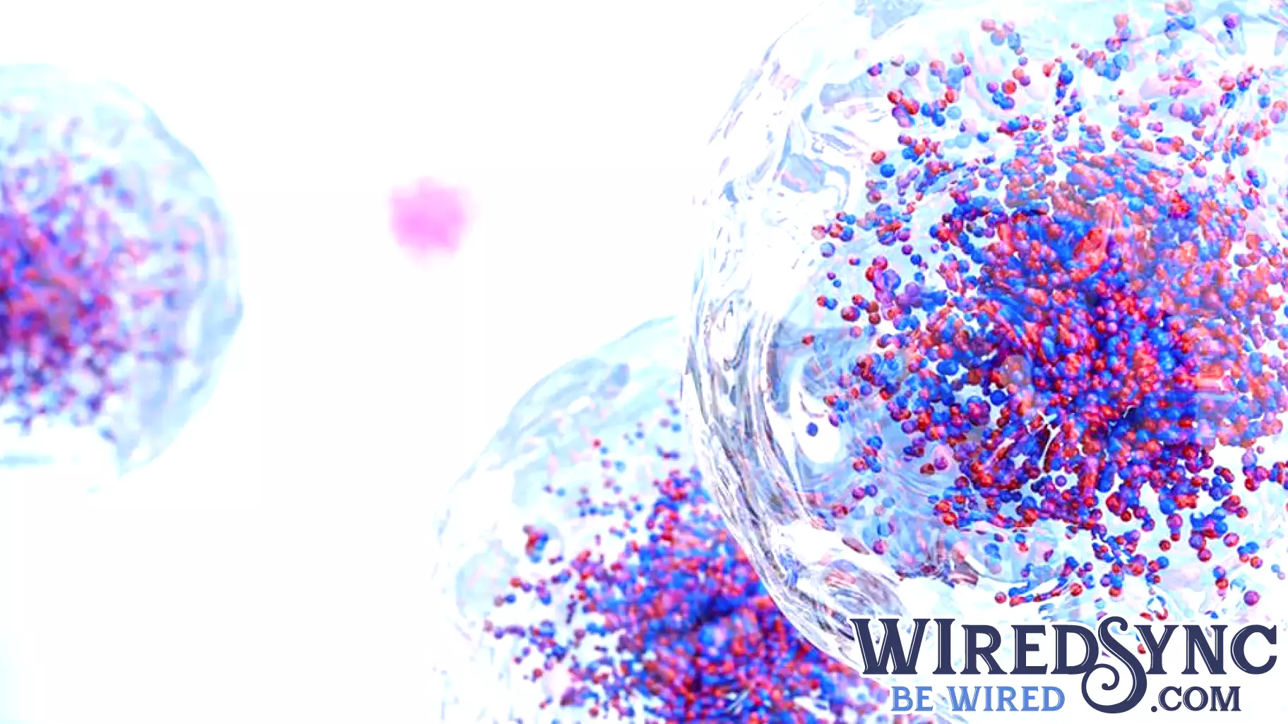 Technology Guide: Modern cellular analysis in early drug discovery