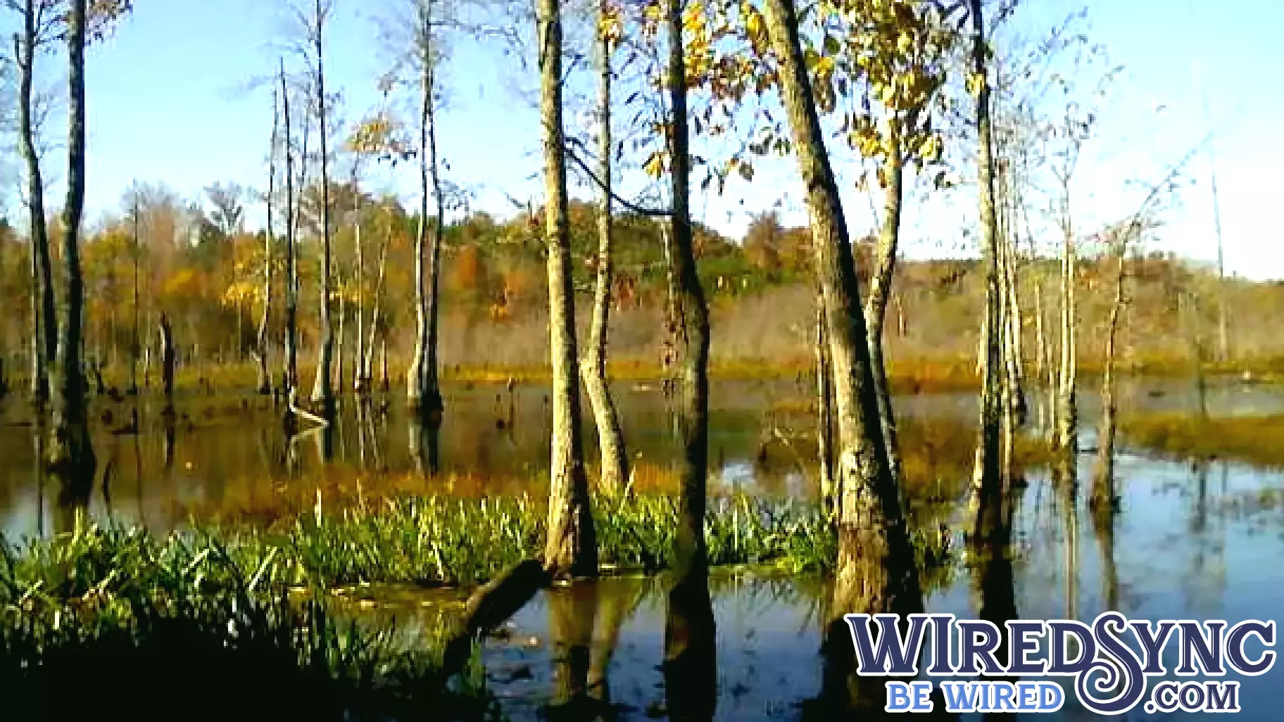 The Inspiration Behind