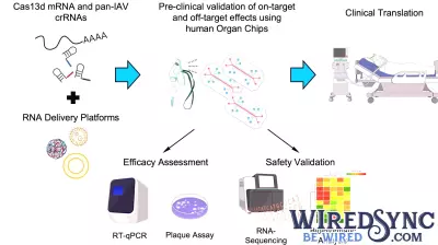 Advancements in Organ Chip Technology Pave the Way for CRISPR Treatments Against Influenza A
