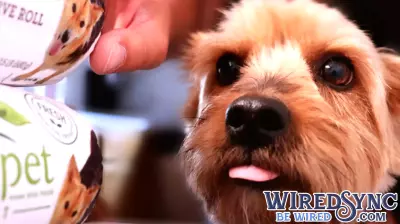 Align Technology Uses Swiss Oral Health Study To Build Long Term Moat