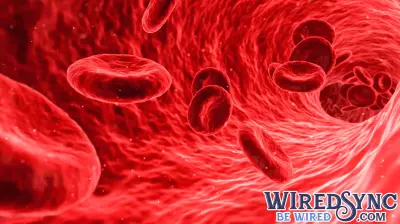 Breakthrough Ultrasound Technology Measures Blood Viscosity Non-Invasively