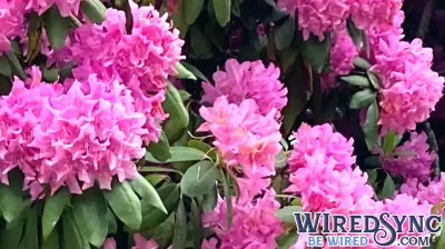 Changing the clocks and technology to boot