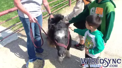 Farm Day returns to Kern County, showcases new AI technology