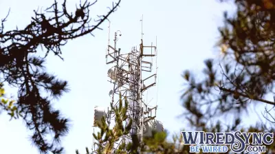 How new AI technology is helping detect and prevent wildfires