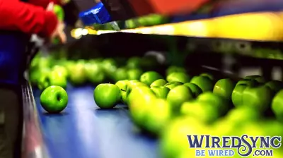 Innovative Fruit Protection Technology Set to Transform Produce Handling