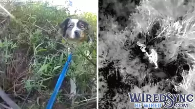 Innovative Thermal Drone Technology Aids in Locating Lost Dog in Orange County