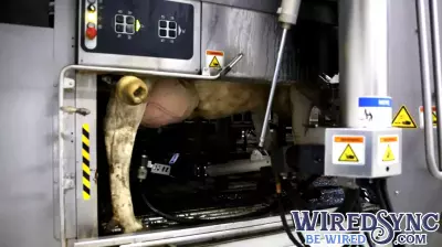 New Grant Program Aims to Boost Technology in South Carolina Agriculture