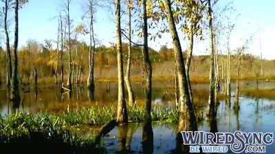 The Inspiration Behind 