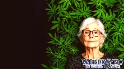 The Intersection of Technology and Cannabis in 2025