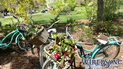 Unveiling the Tech Behind Utah’s Premier Tulip Festival
