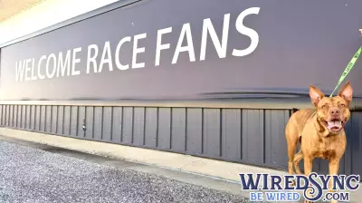 World Wide Technology Raceway, Local Shelters Partner for Third Annual Animal Adoption Promotion